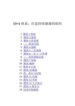 13+1体系打造持续健康的组织.docx