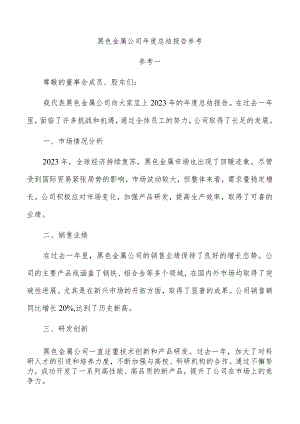 黑色金属公司年度总结报告参考.docx