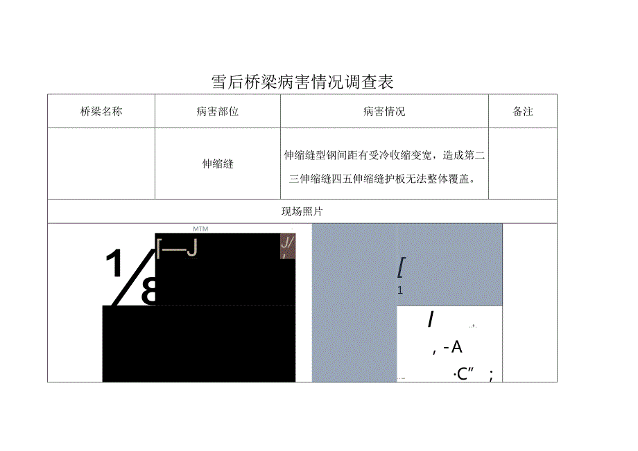 雪后桥梁病害情况调查表.docx_第1页