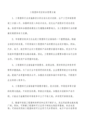 工程塑料项目财务管理方案.docx