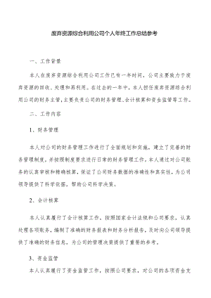 废弃资源综合利用公司个人年终工作总结参考.docx