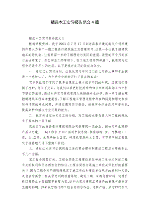 精选木工实习报告范文4篇.docx