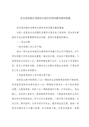 党支部加强自身建设方面存在的问题及整改措施.docx