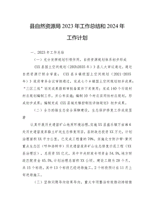 县自然资源局2023年工作总结和2024年工作计划(20231226).docx