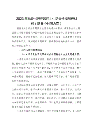 党委书记2023年主题教育专题民主生活会对照检查材料（新6个对照方面）.docx