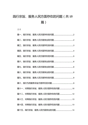 践行宗旨、服务人民方面存在的问题15篇.docx