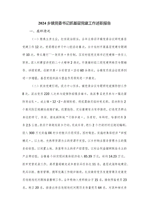 2024乡镇党委书记抓基层党建工作述职报告.docx