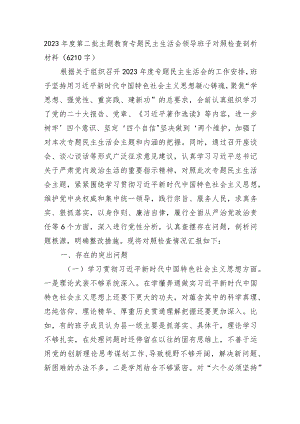 （班子）2023年度主题教育专题民主生活会对照检查剖析材料（践行宗旨等6个方面）.docx