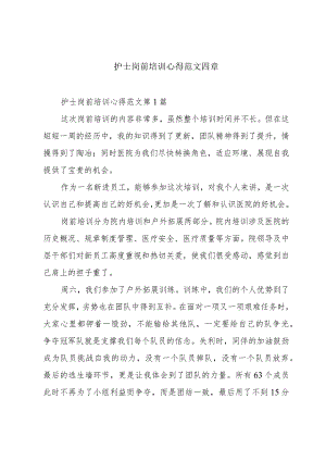 护士岗前培训心得范文四章.docx