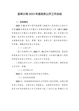 县审计局2023年度政务公开工作总结（20231225）.docx