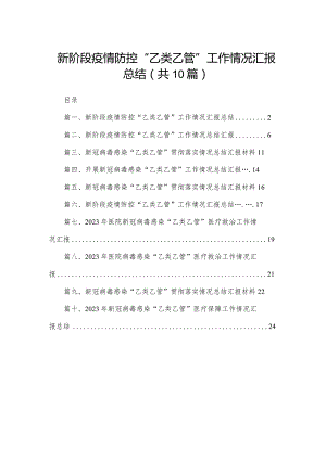 新阶段疫情防控“乙类乙管”工作情况汇报总结10篇供参考.docx