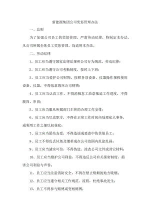 新能源集团公司奖惩管理办法.docx