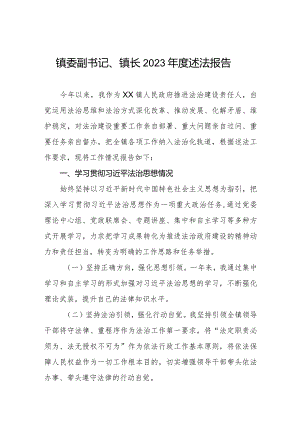 镇委副书记镇长2023年度述法报告.docx