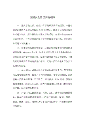 校园安全管理实施细则.docx