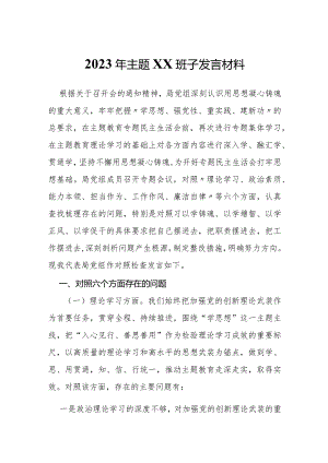 2023年主题 XX班子发言材料.docx