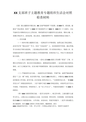 XX支部班子主题教育专题组织生活会对照检查材料.docx