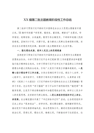 XX镇第二批主题教育工作总结.docx