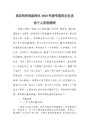 某区税务局副局长2023年度专题民主生活会个人发言提纲.docx