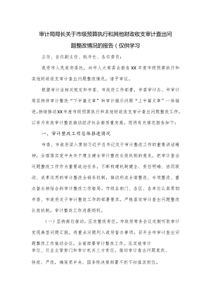 审计局局长关于市级预算执行和其他财政收支审计查出问题整改情况的报告.docx