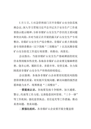 X应急管理部门召开非煤矿山专项整治工作推进会会议纪要.docx