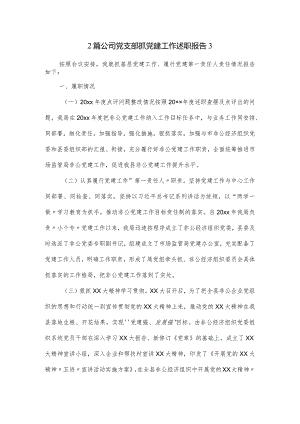 2篇公司党支部抓党建工作述职报告3.docx