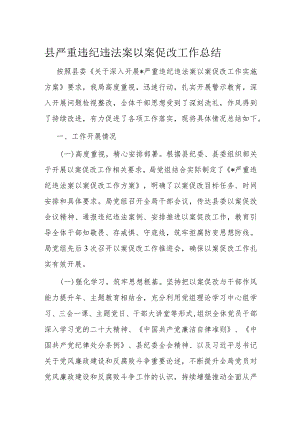 县严重违纪违法案以案促改工作总结.docx