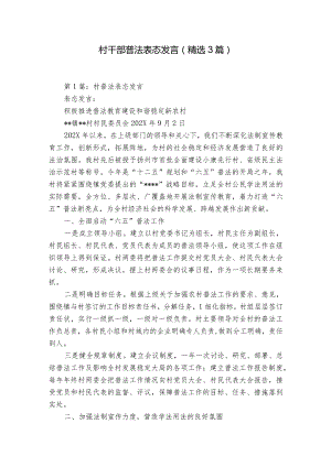 村干部普法表态发言（精选3篇）.docx