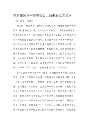 在新任领导干部座谈会上的表态发言提纲.docx