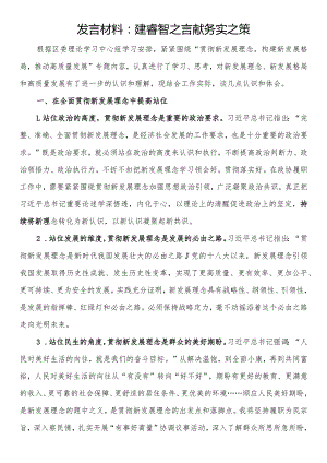 发言材料：建睿智之言献务实之策.docx