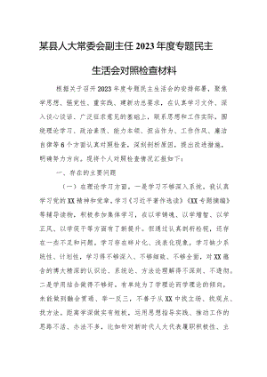 某县人大常委会副主任2023年度专题民主生活会对照检查材料.docx