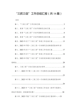 “三抓三促”工作总结汇报范文精选(16篇).docx