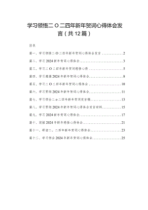 学习领悟二O二四年新年贺词心得体会发言最新精选版【12篇】.docx