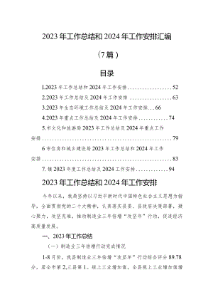 2023年工作总结和2024年工作安排汇编（7篇）.docx