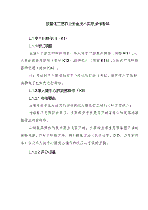 胺基化工艺作业安全技术实际操作考试.docx