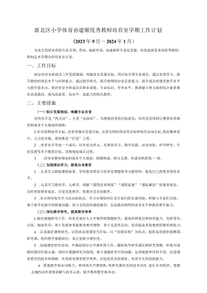 新北区小学体育孙建顺优秀教师培育室学期工作计划.docx