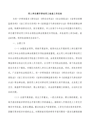 用人单位遵守劳动用工检查工作总结.docx