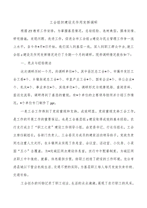 工会组织建设及作用发挥调研.docx