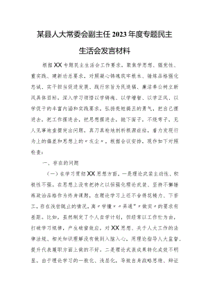 某县人大常委会副主任2023年度专题民主生活会发言材料.docx