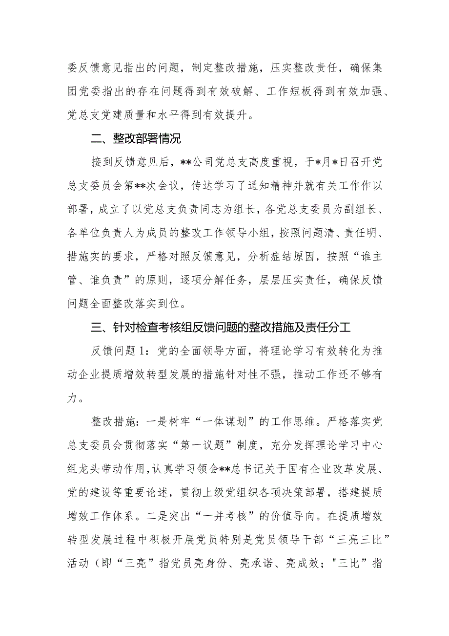 公司党总支落实2023年全面从严治党（党建）责任情况检查考核反馈意见的整改方案.docx_第2页