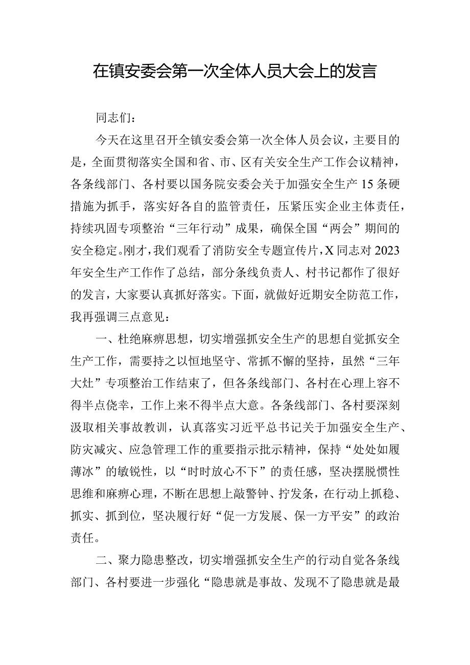 在镇安委会第一次全体人员大会上的发言.docx_第1页