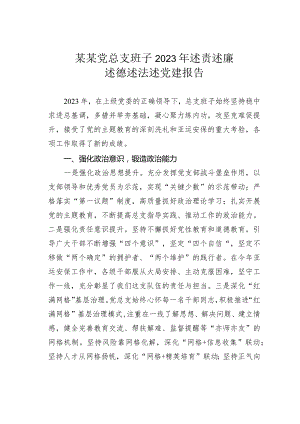 某某党总支班子2023年述责述廉述德述法述党建报告.docx