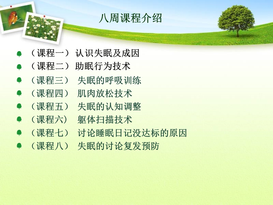 失眠的非药物治疗.ppt_第3页