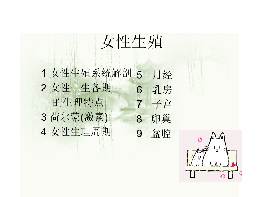 女性专业知识讲座.ppt_第1页