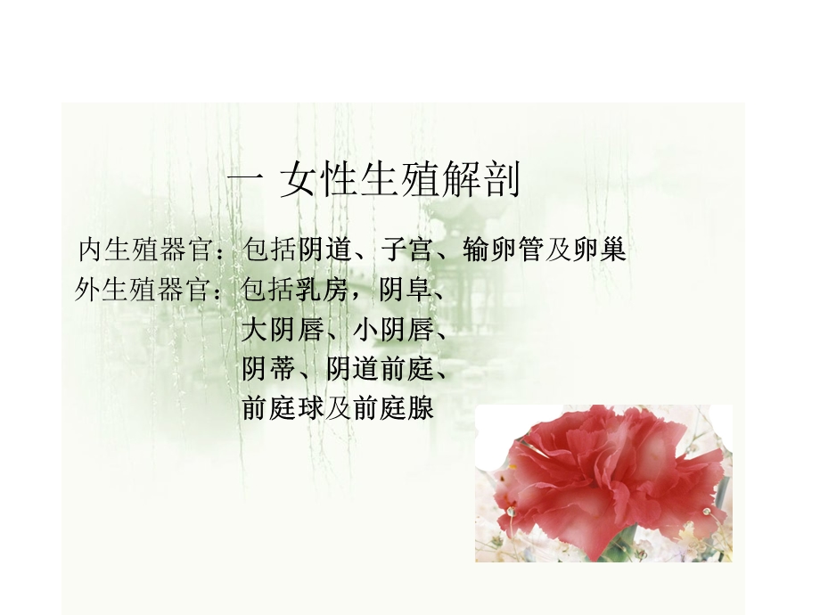 女性专业知识讲座.ppt_第2页