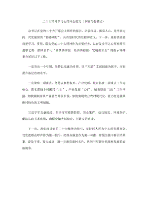 二十大精神学习心得体会范文（乡镇党委书记）.docx