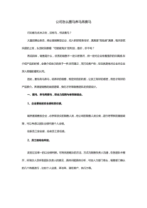 公司怎么圈马养马再赛马.docx