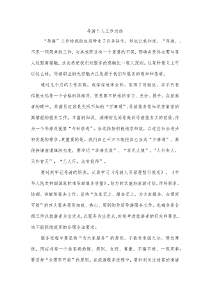 导游个人工作总结.docx