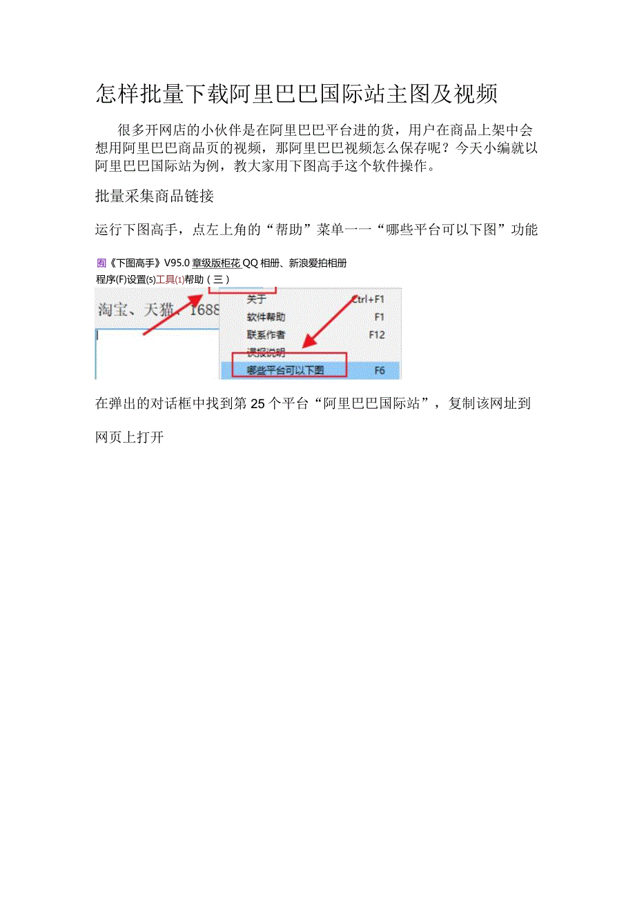 怎样批量下载阿里巴巴国际站主图及视频.docx_第1页