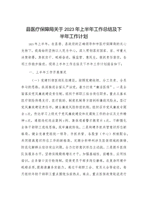 县医保局2023年上半年工作总结及下半年工作计划.docx