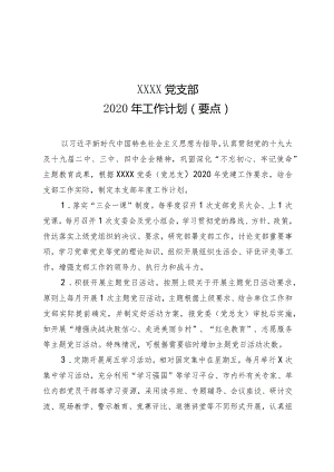 党支部2020年工作计划（要点）.docx